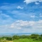 SDIM0979