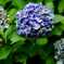 DSCF1354