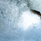 Splash