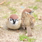 幸せな瞬間
