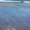 由比ヶ浜⑤