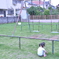 公園⑩