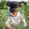 Blueberry picking