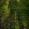 late-in-the-afternoon