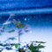rain (ain't) drop(ped)