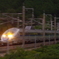 IMGP1439