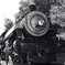 Sunol Railroad Memorial Day Event 2015