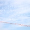 空＋１