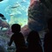江ノ島水族館