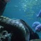 江ノ島水族館