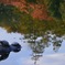 昭和記念公園