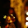 christmas night