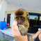 Cute Monkey