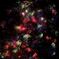 Fireworks dance fall
