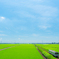 真夏の田園風景に癒されて
