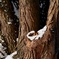 _DSC3954A
