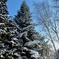 _DSC3851A