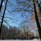 _DSC3944A
