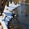 _DSC3966A
