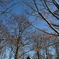 _DSC4034A