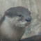 サンシャイン水族館のアイドル！