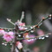 雫3