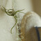 20150729-DSCF2184