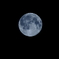 BlueMoon