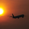 Evening Flight