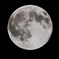 今更ですがblue moon
