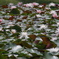DSC00136