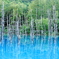 青い池