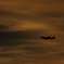 Fly To Sky