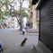 Bangalore