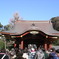 IMGP0628