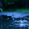 雨