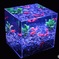 ART AQUARIUM  〜被曝70年・広島 金魚の祈り〜