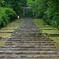 平泉寺白山神社　参道