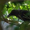 photo_4726615