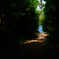path to the sea