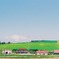 北海道・美瑛