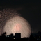 東京湾大華火祭 