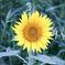 20150807-0004