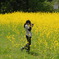 菜の花畑を狙って・・