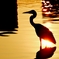 穏やかな夕暮れ