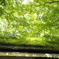 屋根上の世界