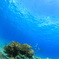 blue