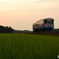 夏の夕暮れ
