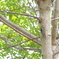DSCN2498