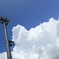 夏の盛り